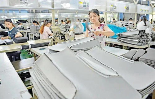 广安聚力产业发展，推动工业挑大梁与智能产业腾飞